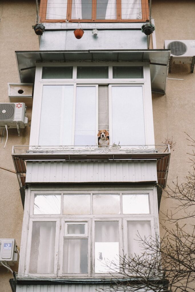 A dog peers out from an apartment window on a tall residential building.
