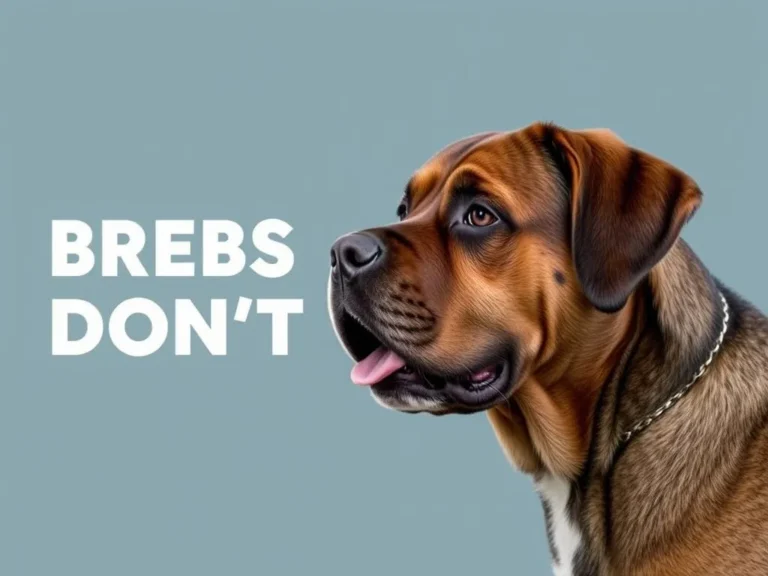 Big Dog Breeds That Dont Shed