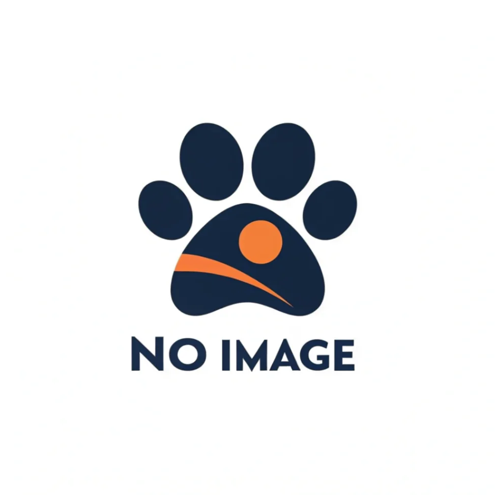 no-image